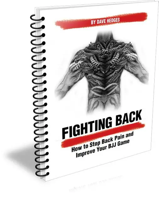 Fighting Back - How to Stop Back Pain & Improve Your BJJ Game